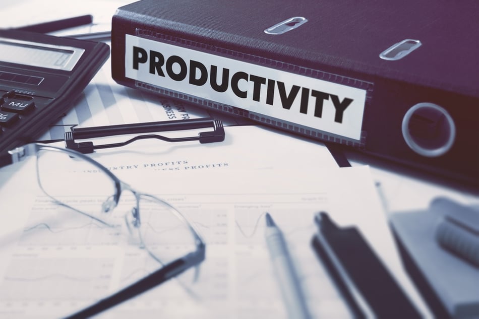 Unveiling the Recipe for Sustainable Organizational Productivity